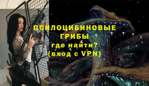 мдпв Абдулино