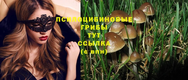 кокс Абаза