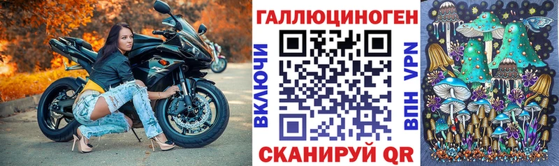 KRAKEN tor  купить наркотики сайты  Харабали  Галлюциногенные грибы GOLDEN TEACHER 